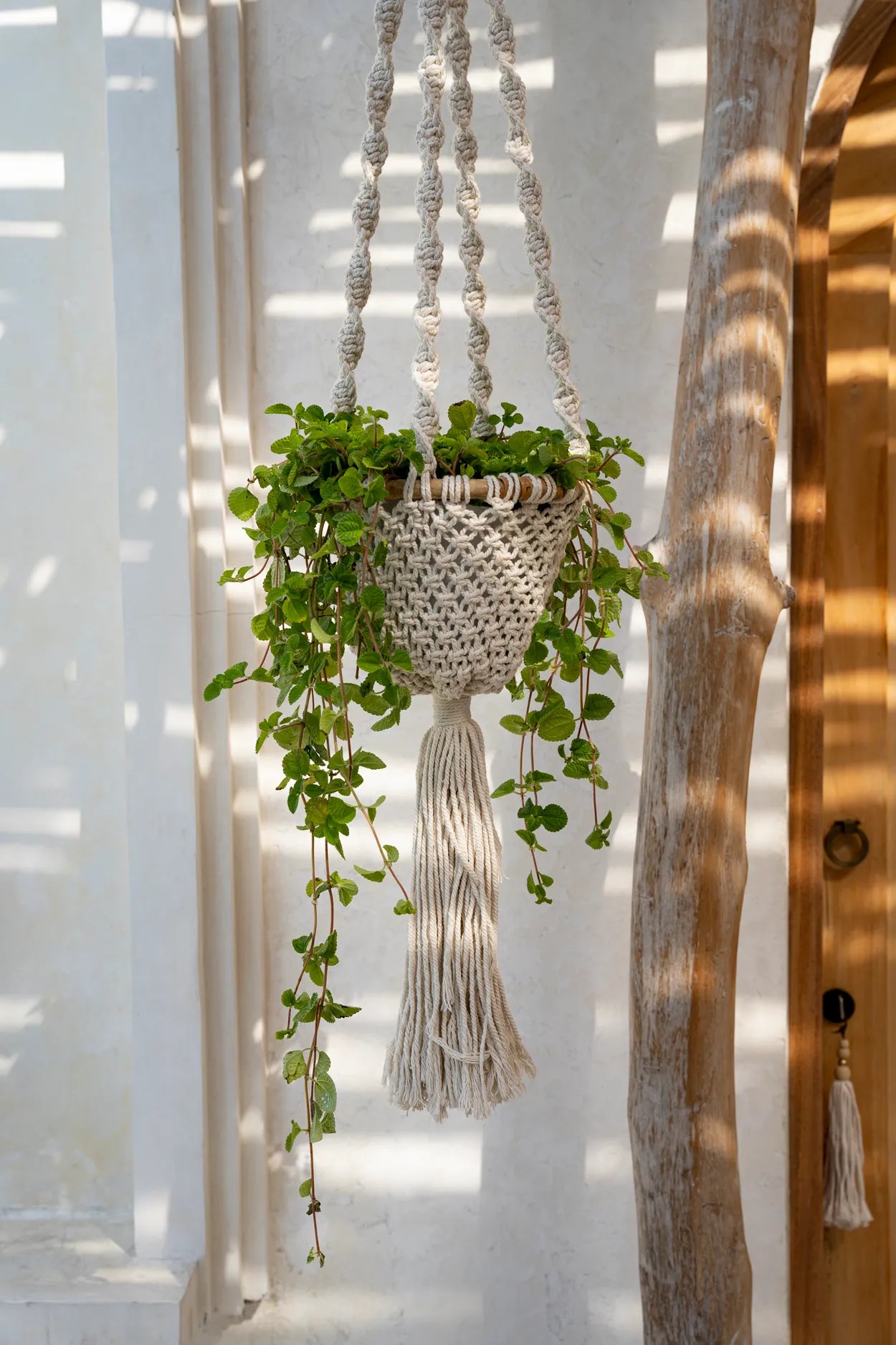 The Twisted Macramé Plant Holder - Natural White - M - Remood furniture living