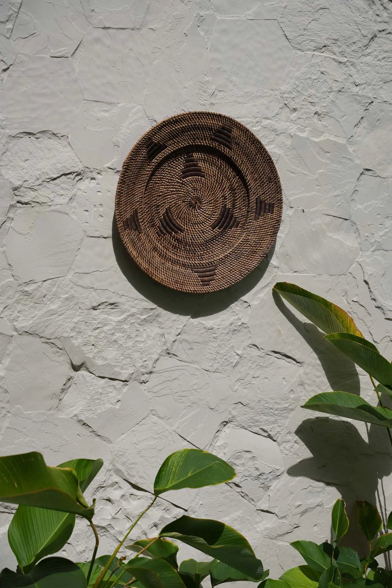 The Jasmine Plate - Brown - M - Remood furniture living