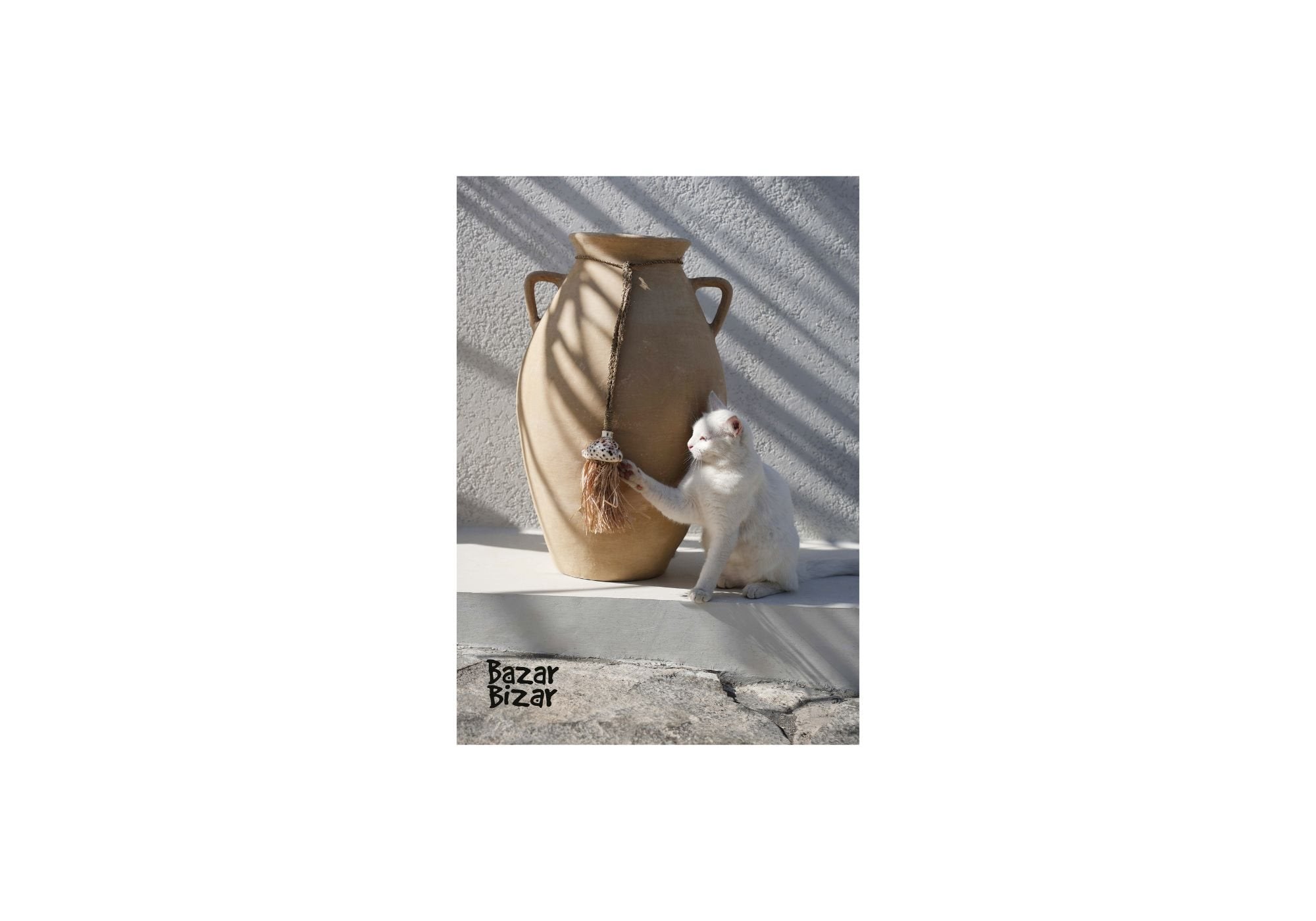 Catalogue - 2025