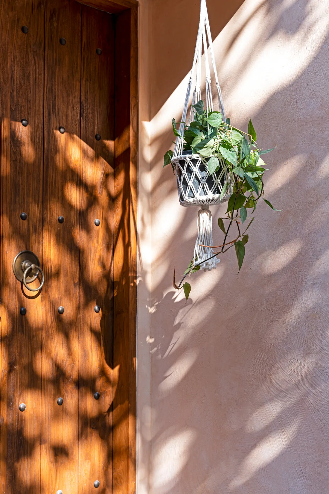 Kleine Wohnung einrichten im Boho-Stil: Tipps für Berlin, Hamburg und München 2026