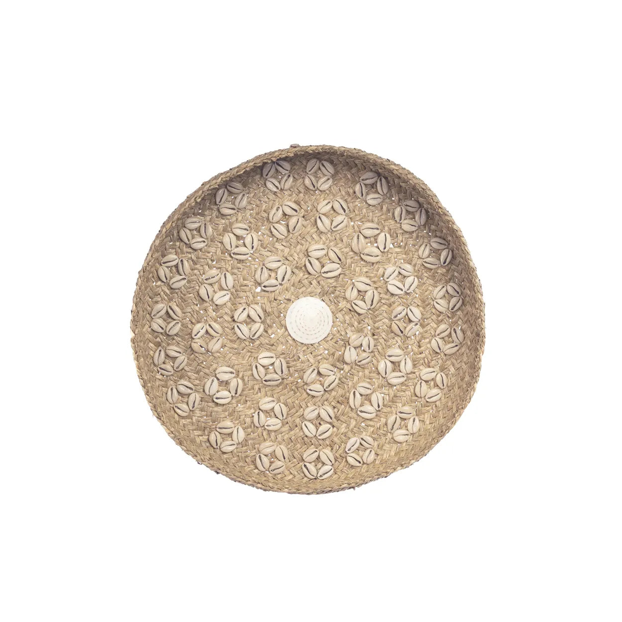 The Caribe Shell Plate - Natural White - M - Remood furniture living