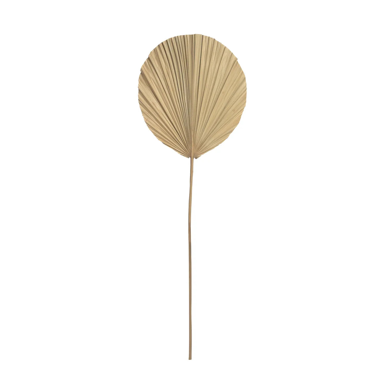 The Rayung Leaf - Natural - Remood furniture living