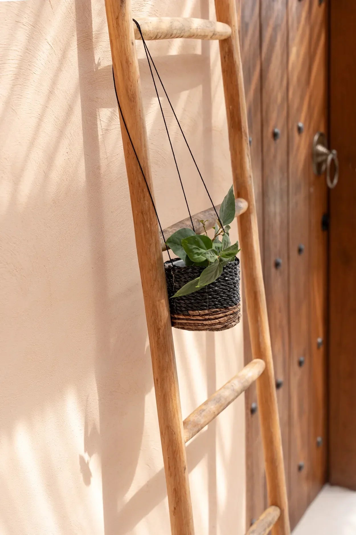 The Banana Plant Hanger - Natural Black - S - Remood furniture living