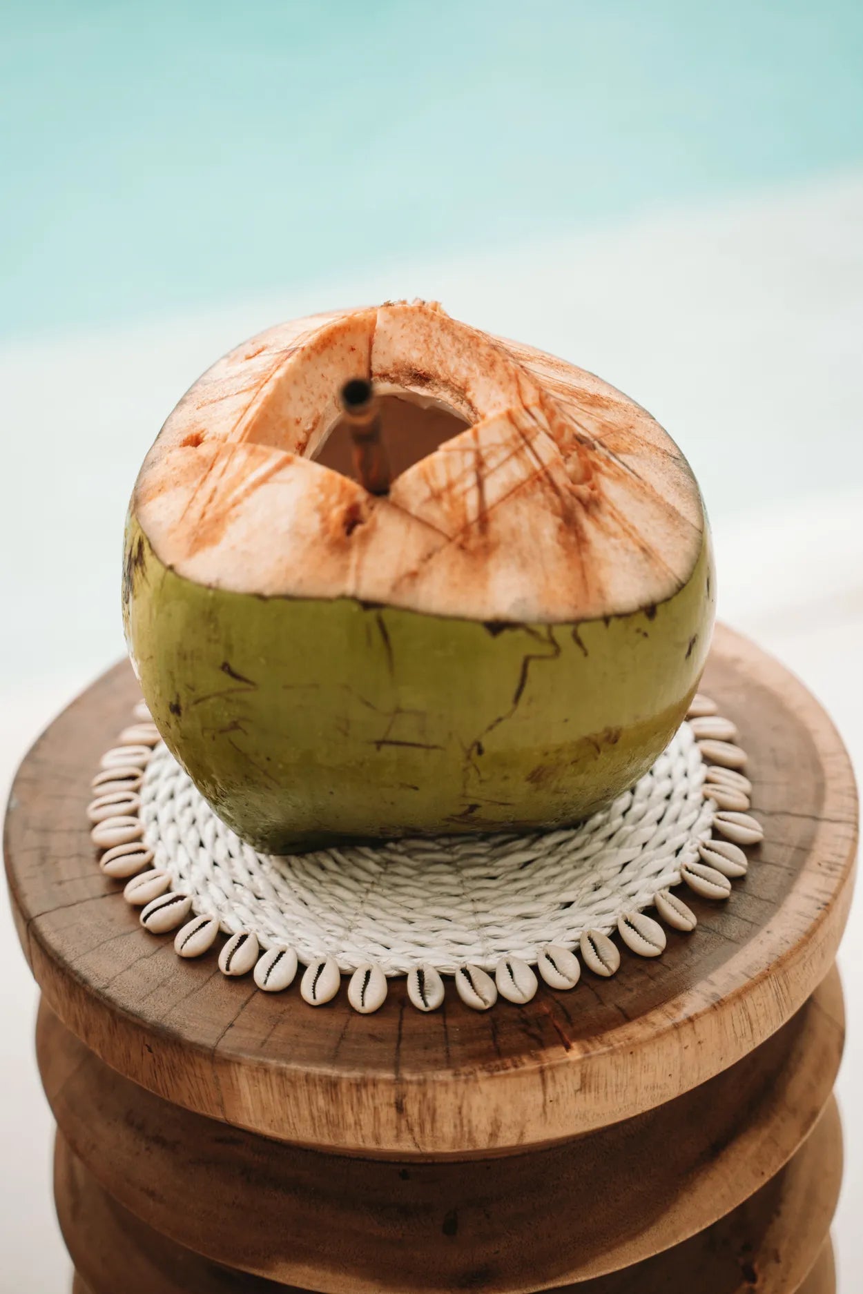 The Seagrass Shell Pan Coaster - White - Remood furniture living