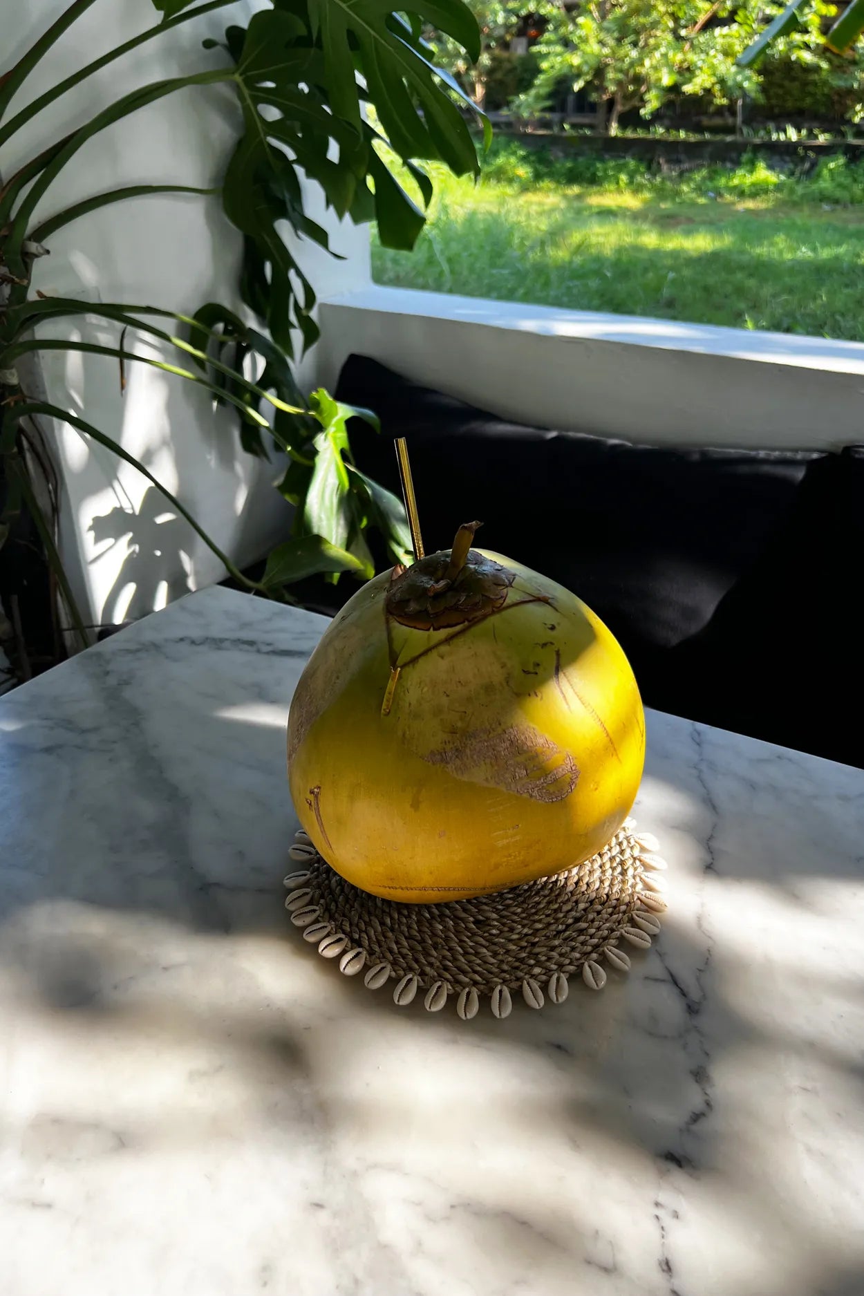 The Seagrass Shell Pan Coaster - Natural - Remood furniture living