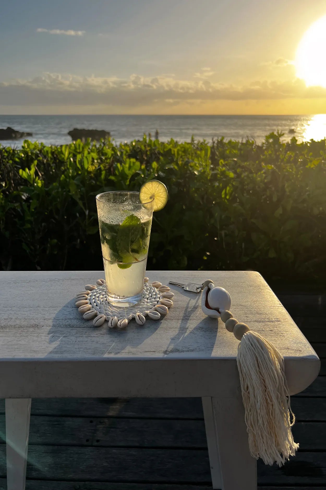 The Seagrass Shell Coaster - White - Remood furniture living