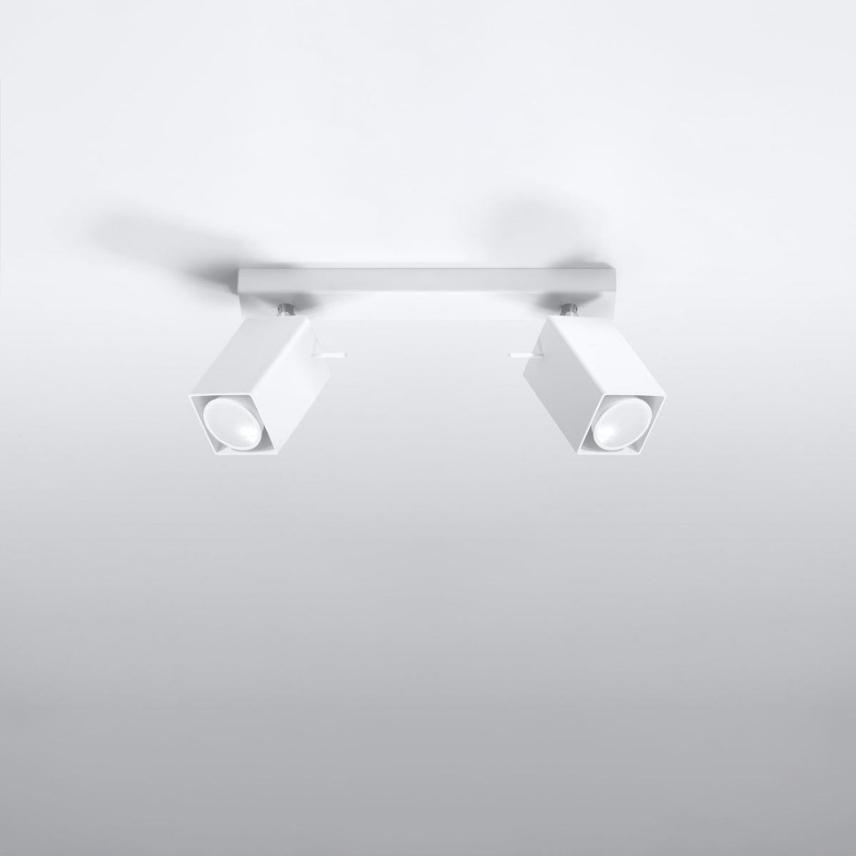 Ceiling lamp MERIDA 2 white