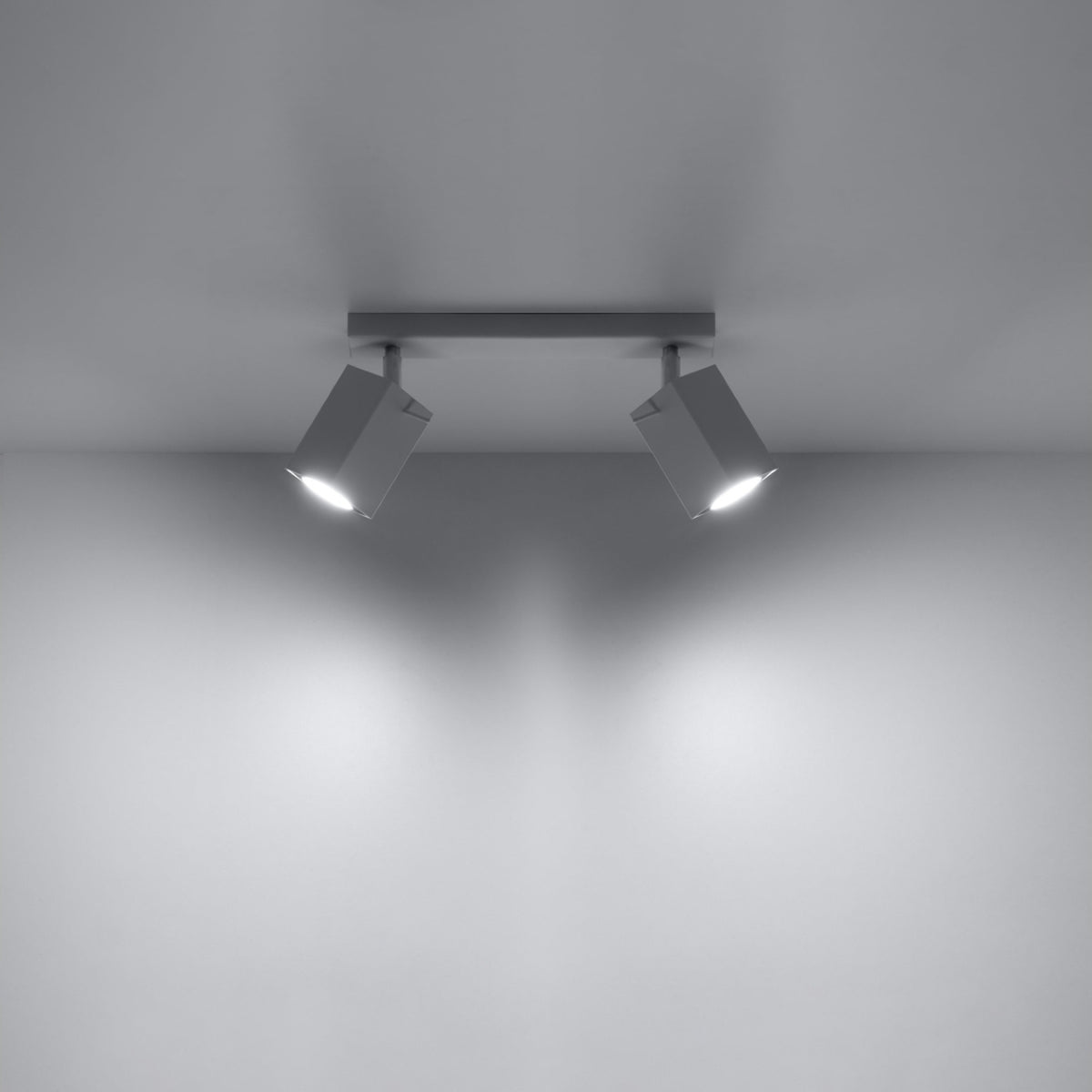 Ceiling lamp MERIDA 2 white