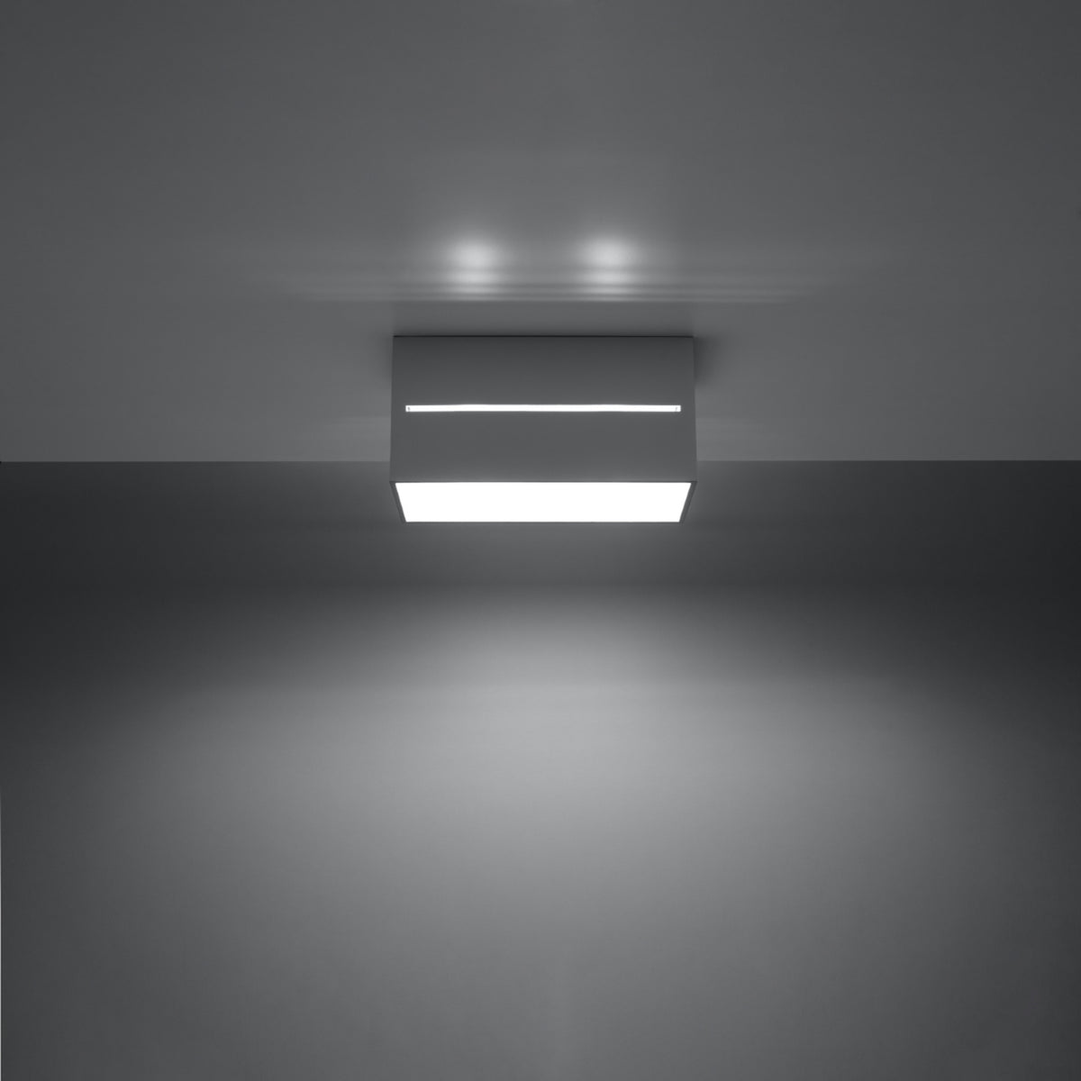 Ceiling lamp LOBO 2 grey