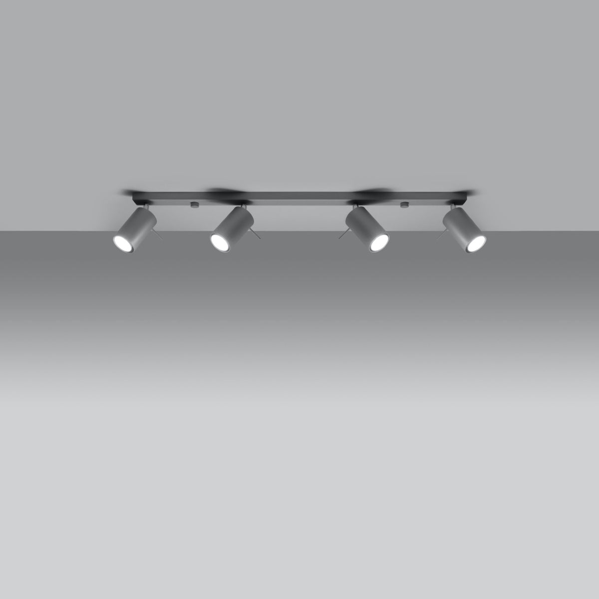 Ceiling lamp RING 4L grey