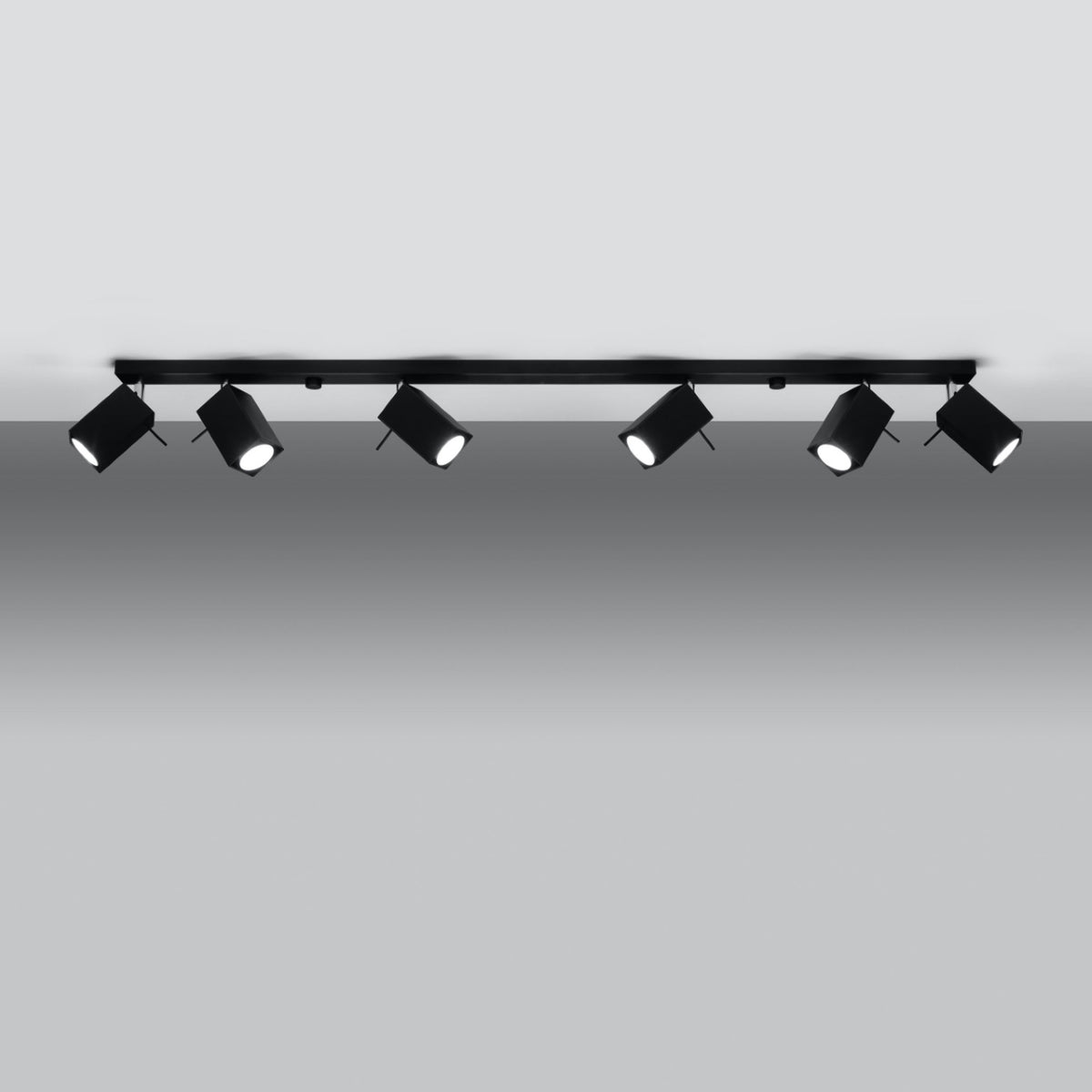 Ceiling lamp MERIDA 6L black