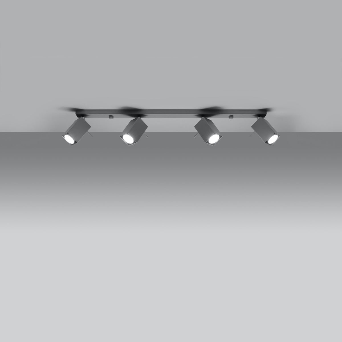 Ceiling lamp MERIDA 4L grey