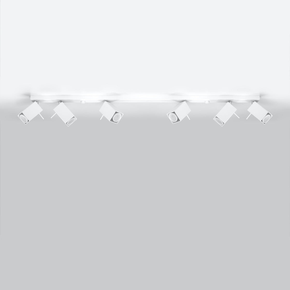 Ceiling lamp MERIDA 6L white