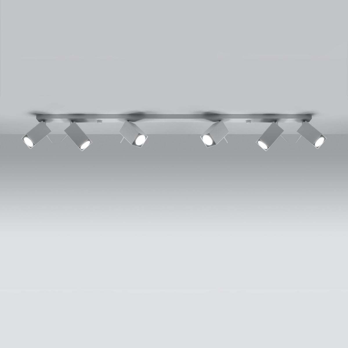 Ceiling lamp MERIDA 6L white