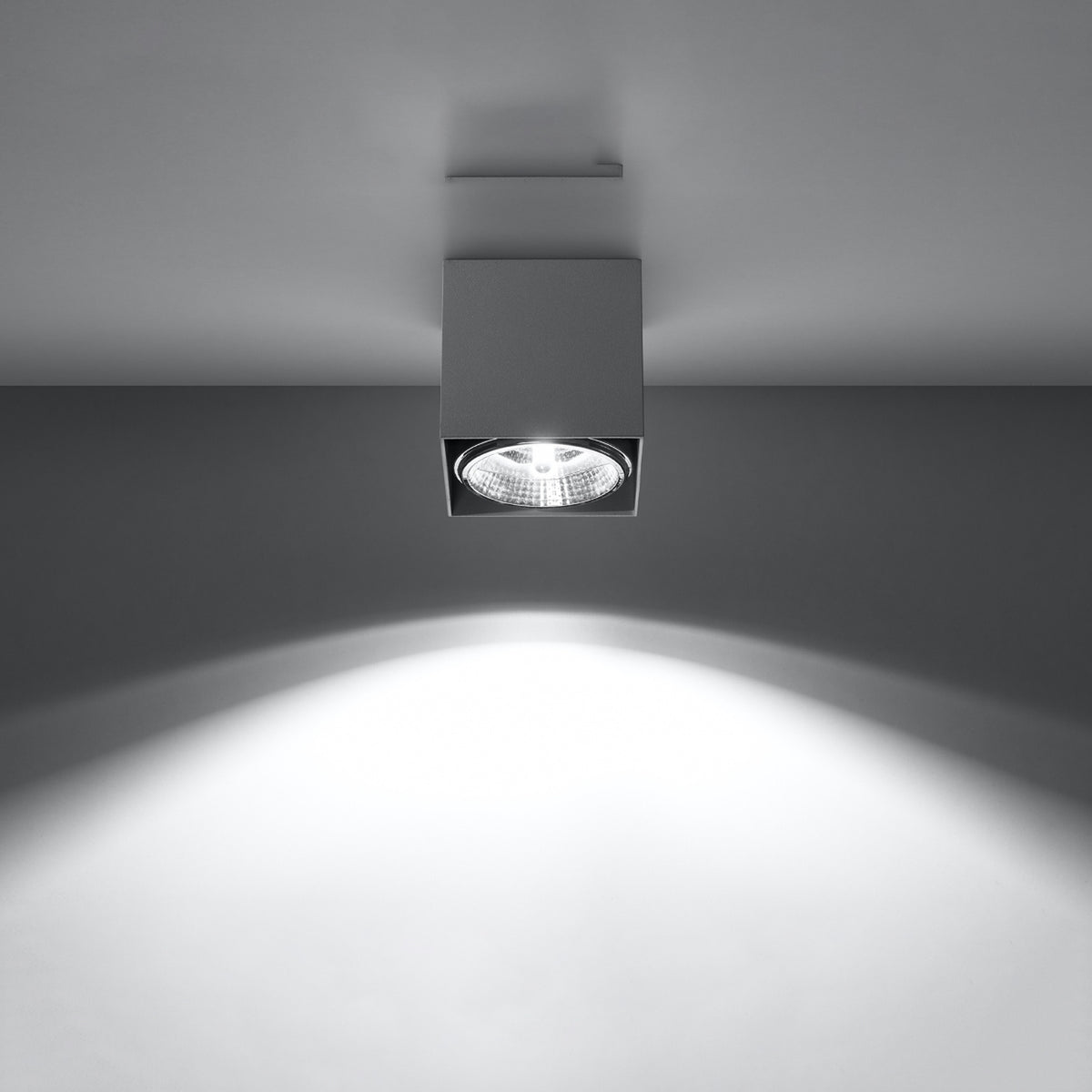 Ceiling lamp BLAKE grey