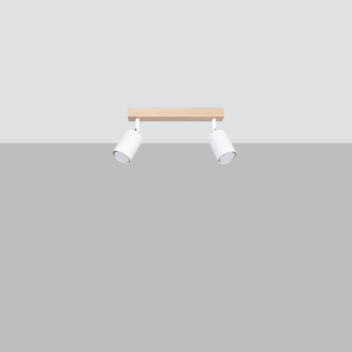 Ceiling lamp VERDO 2 white