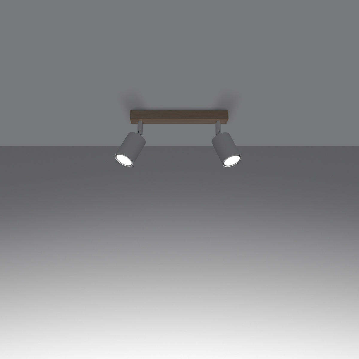 Ceiling lamp VERDO 2 white