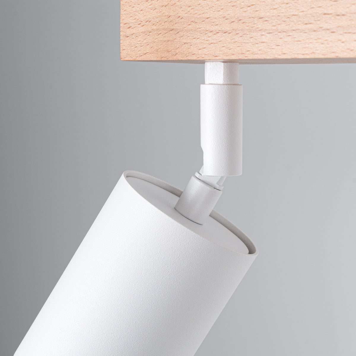 Ceiling lamp VERDO 2 white