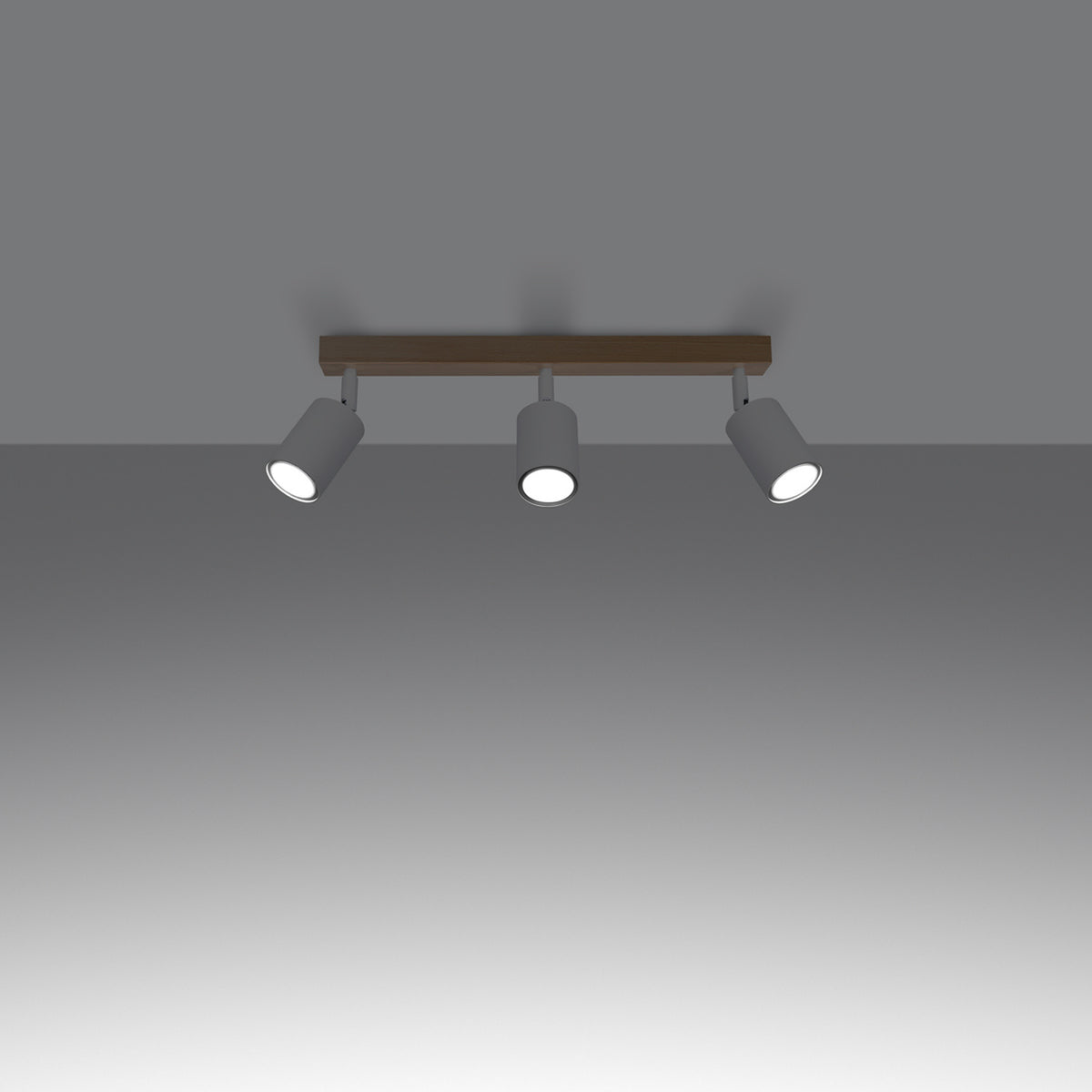 Ceiling lamp VERDO 3L white