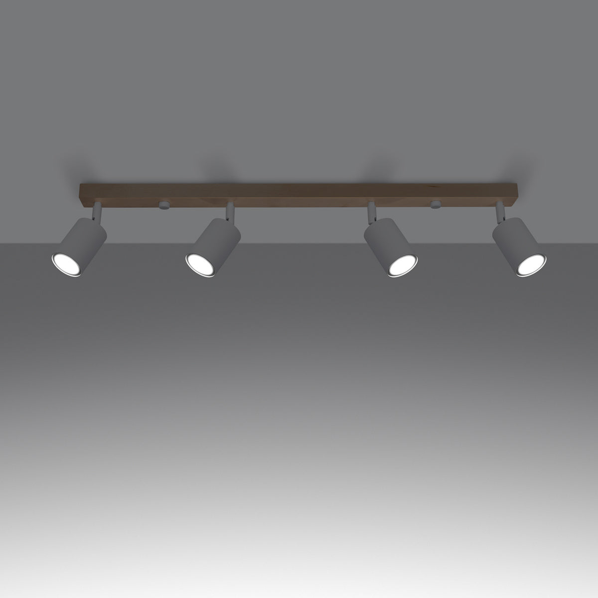 Ceiling lamp VERDO 4 white