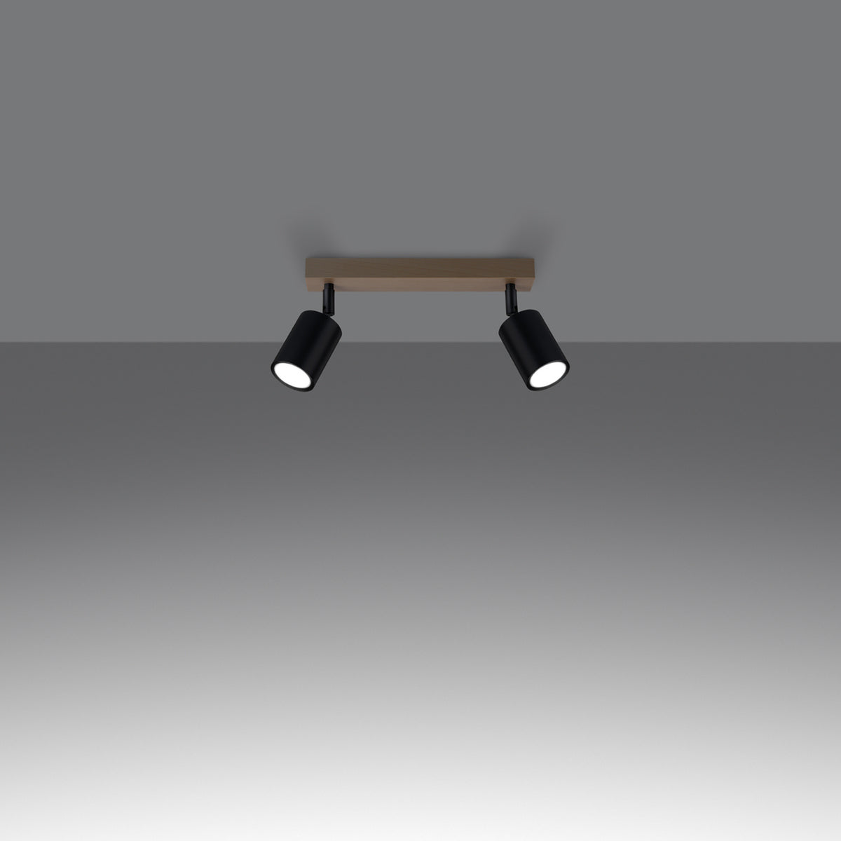 Ceiling lamp VERDO 2 black