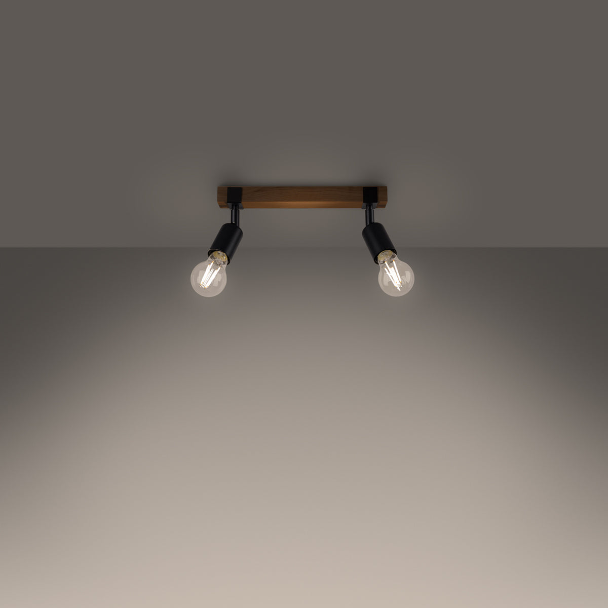 Ceiling lamp ZUCA 2 black