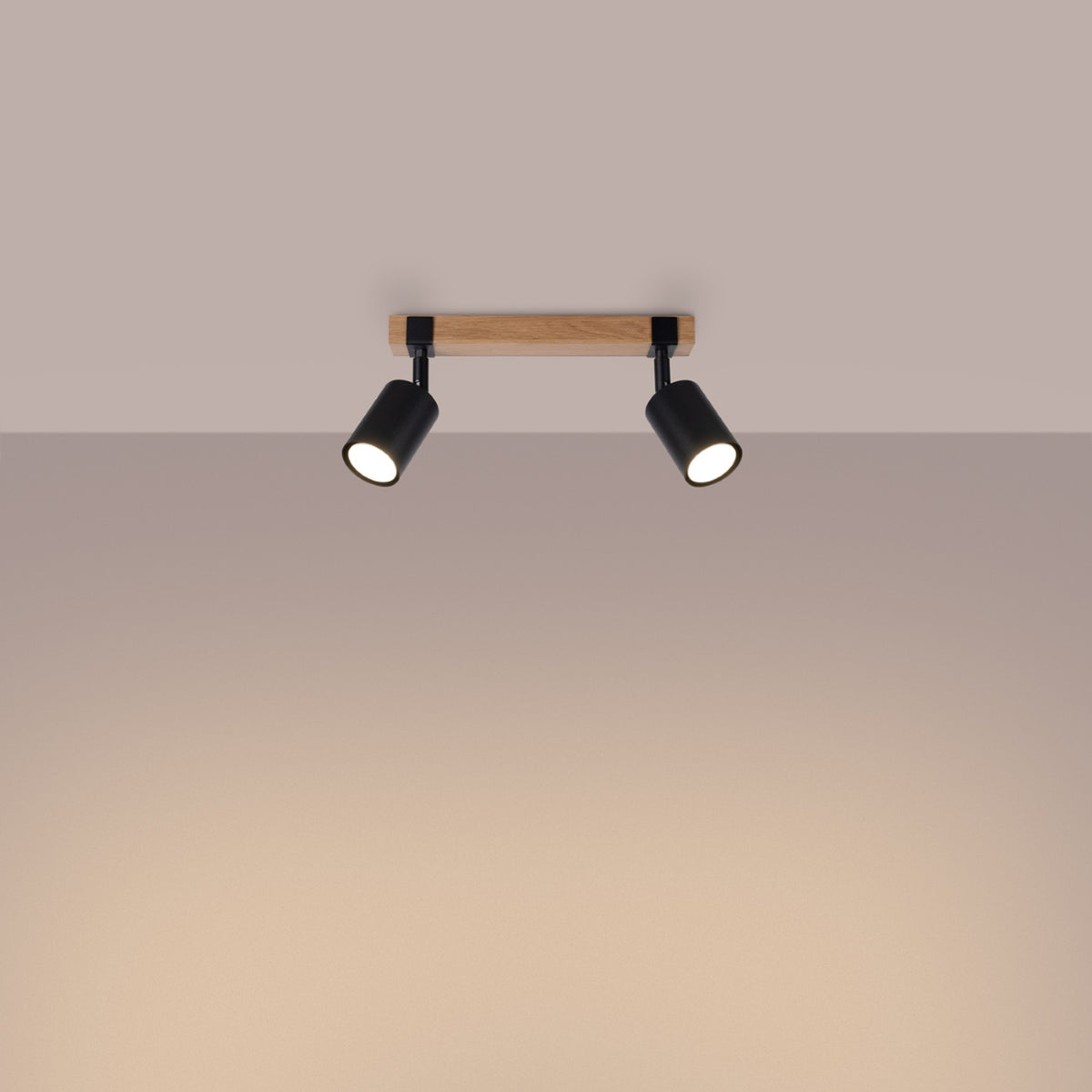 Ceiling lamp FAGER 2 black