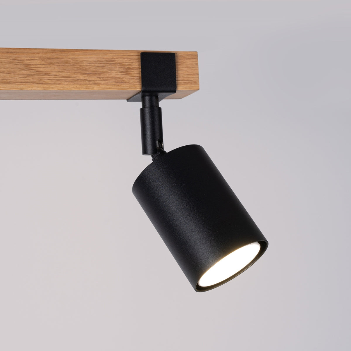 Ceiling lamp FAGER 2 black