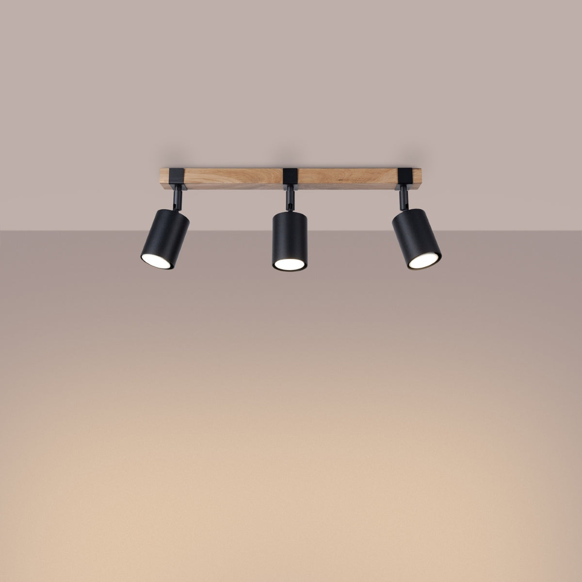 Ceiling lamp FAGER 3 black
