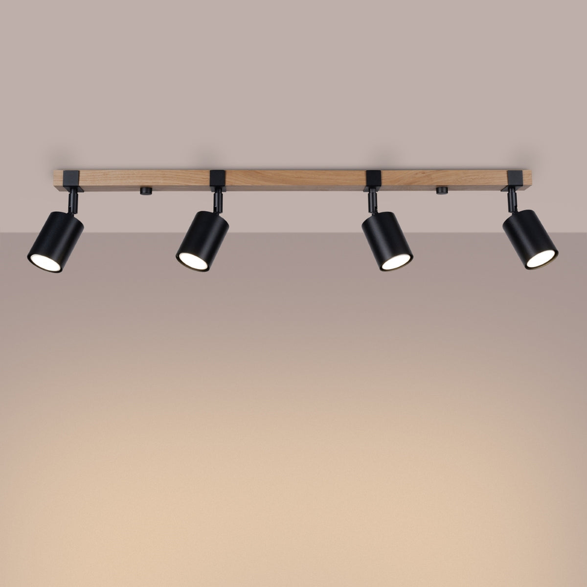 Ceiling lamp FAGER 4L black