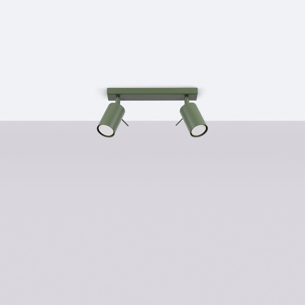 Ceiling lamp RING 2 olive green