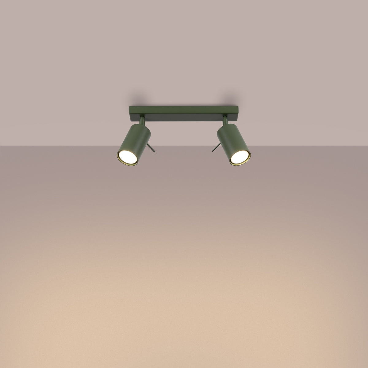 Ceiling lamp RING 2 olive green