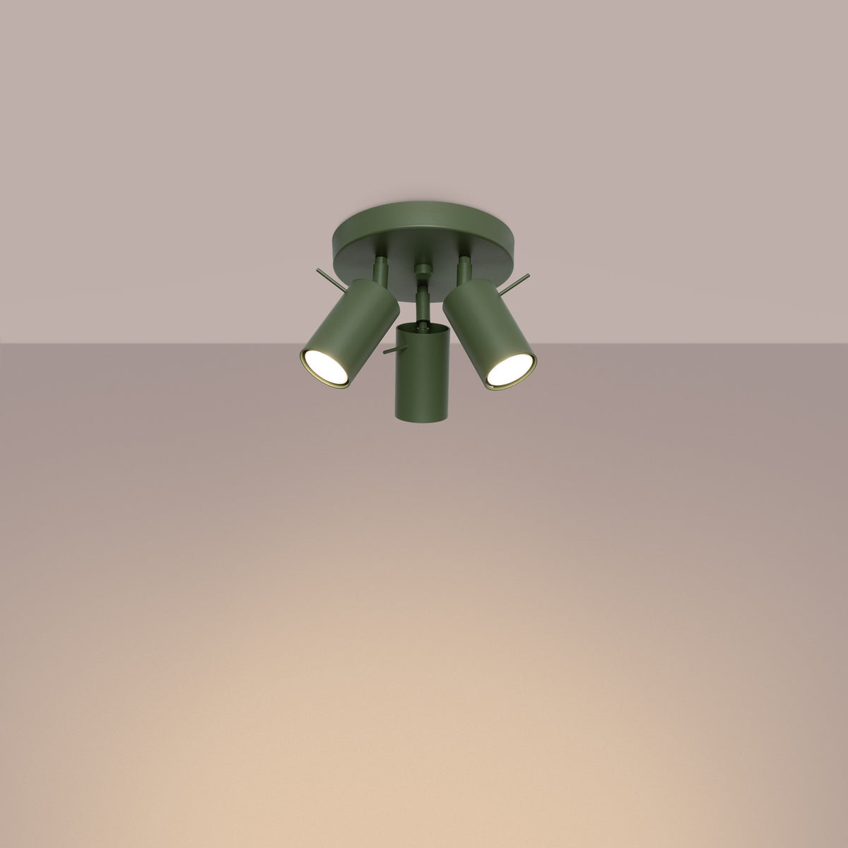 Ceiling lamp RING 3P olive green