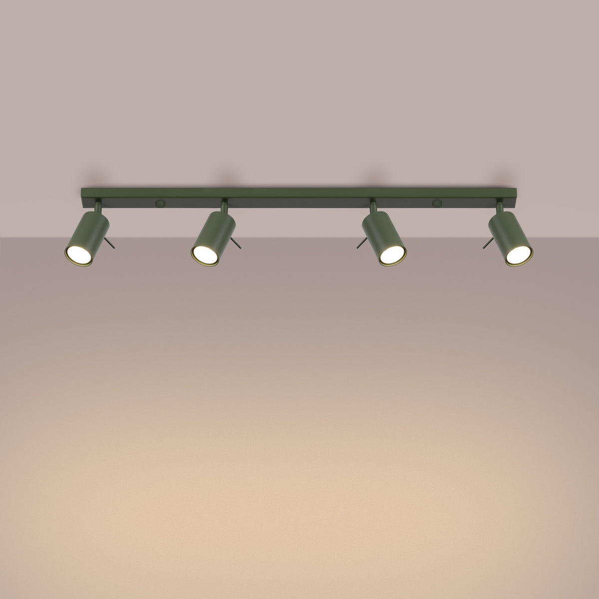 Ceiling lamp RING 4L olive green