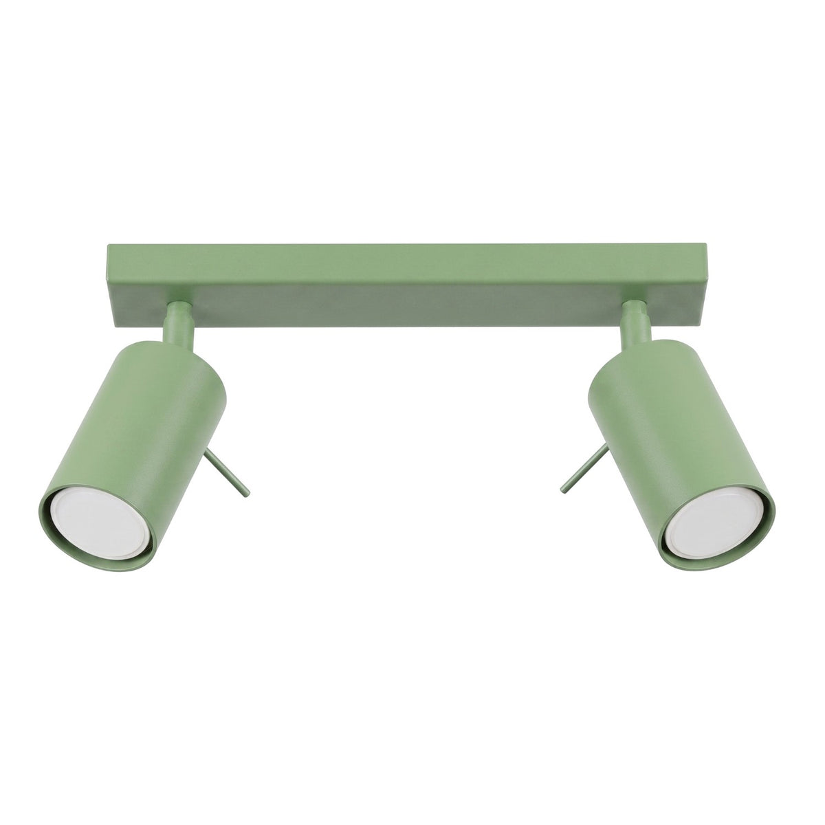 Ceiling lamp RING 2 sage