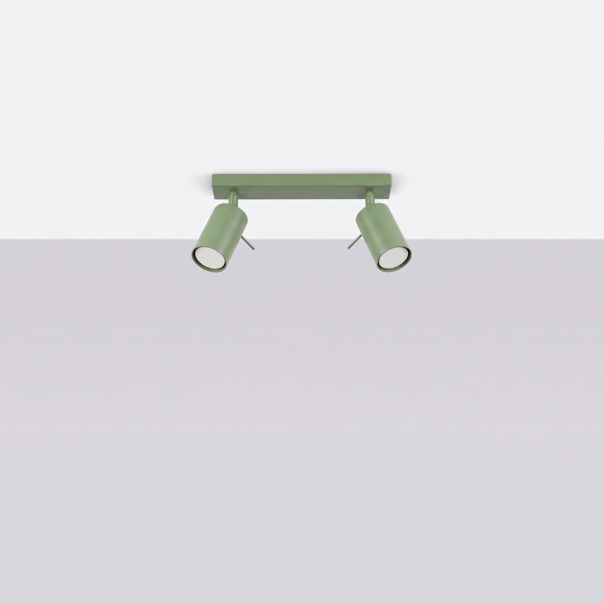 Ceiling lamp RING 2 sage