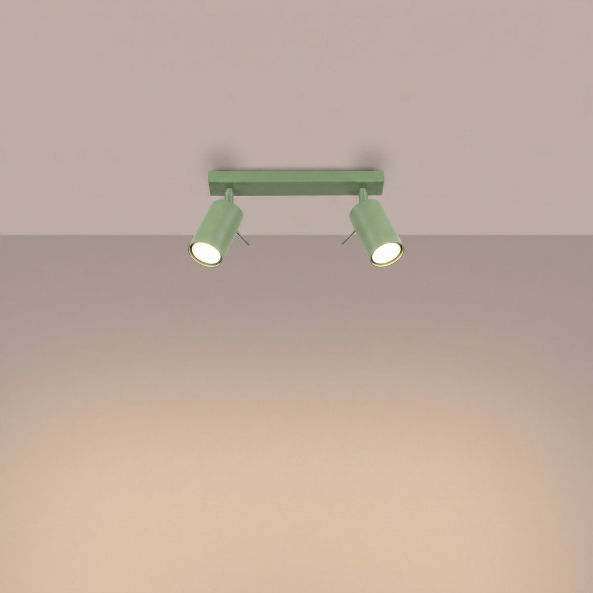 Ceiling lamp RING 2 sage