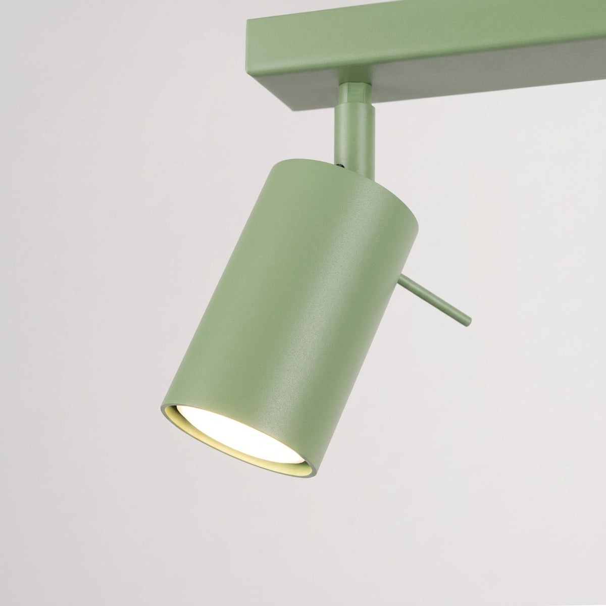 Ceiling lamp RING 2 sage