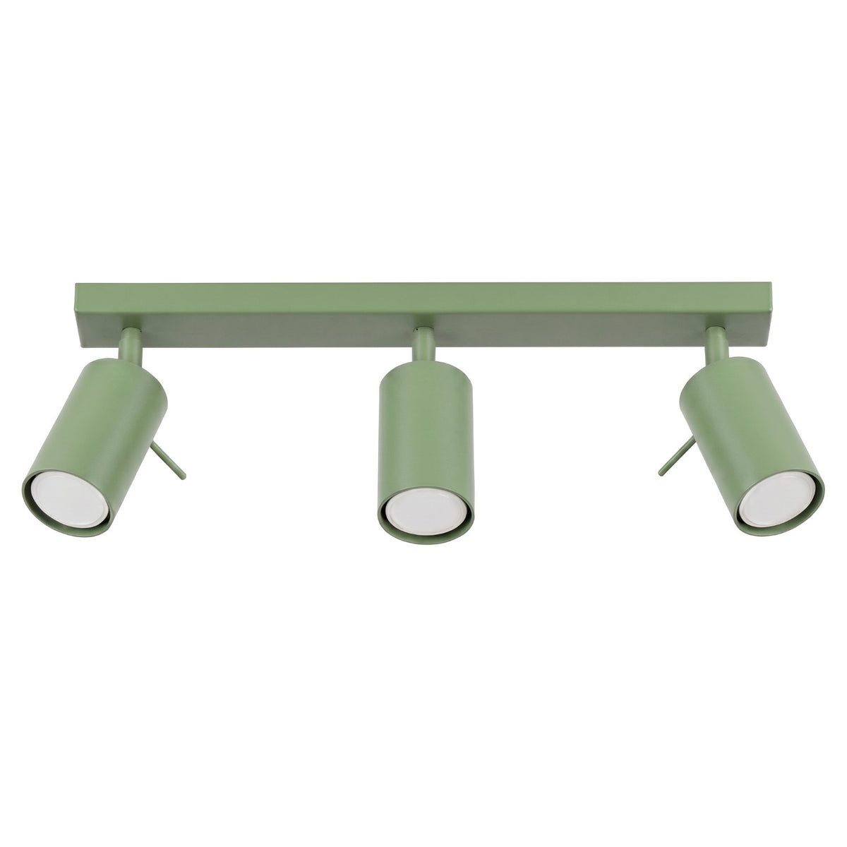 Ceiling lamp RING 3L sage