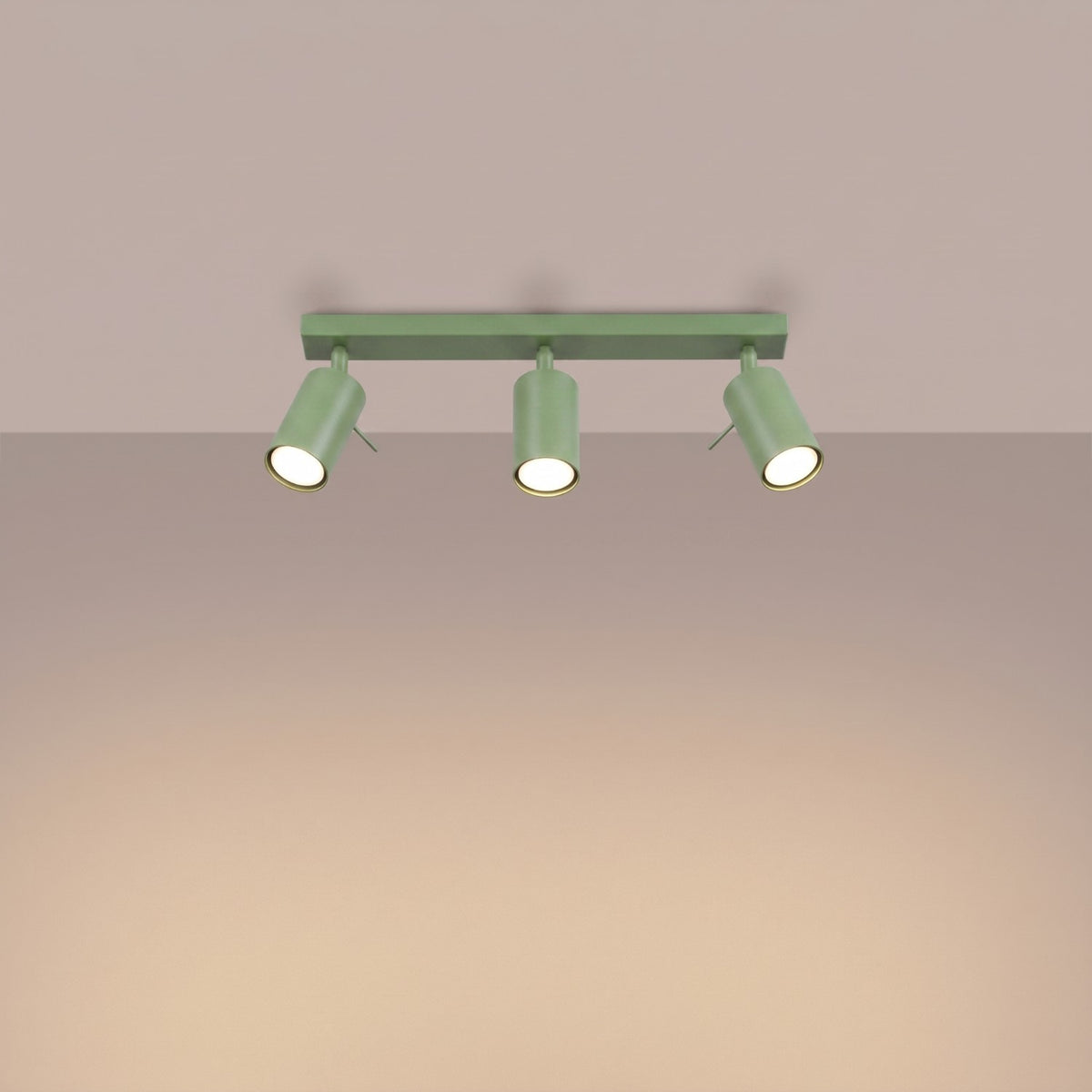 Ceiling lamp RING 3L sage
