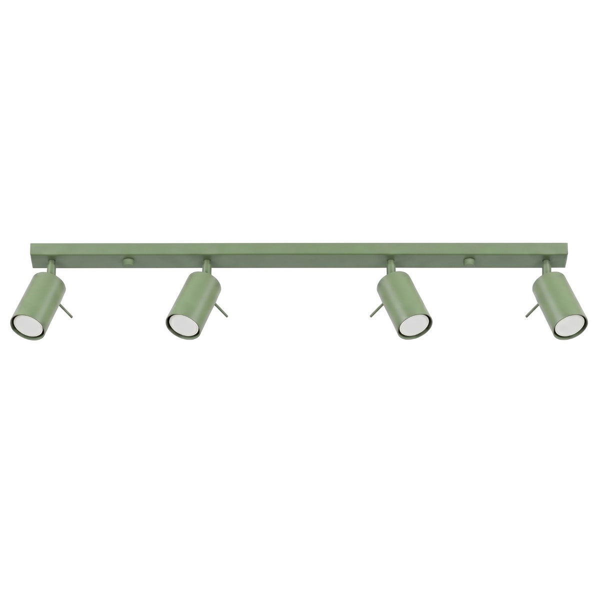 Ceiling lamp RING 4L sage