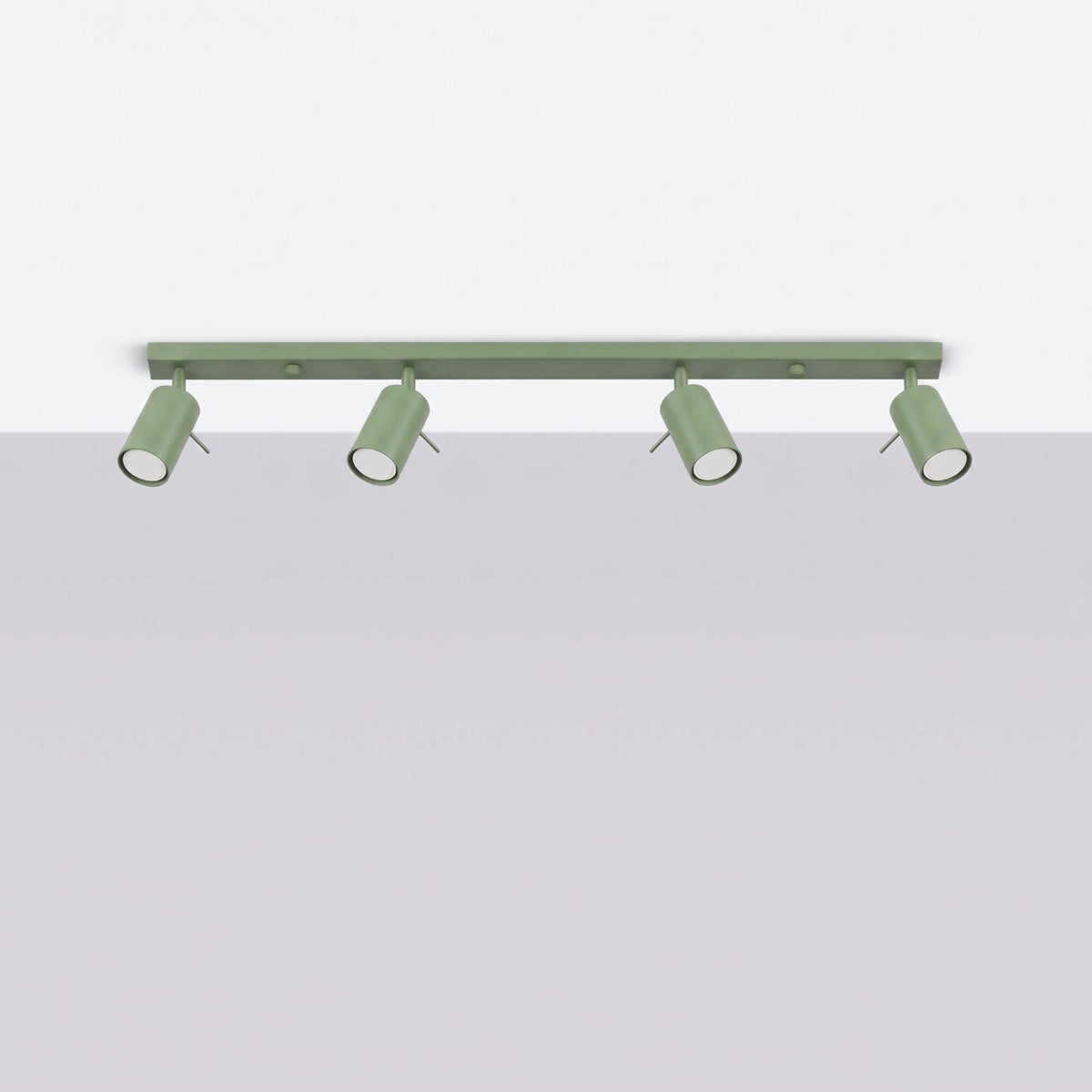 Ceiling lamp RING 4L sage