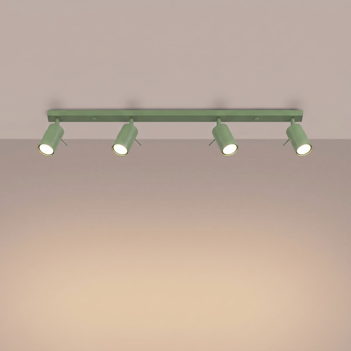 Ceiling lamp RING 4L sage