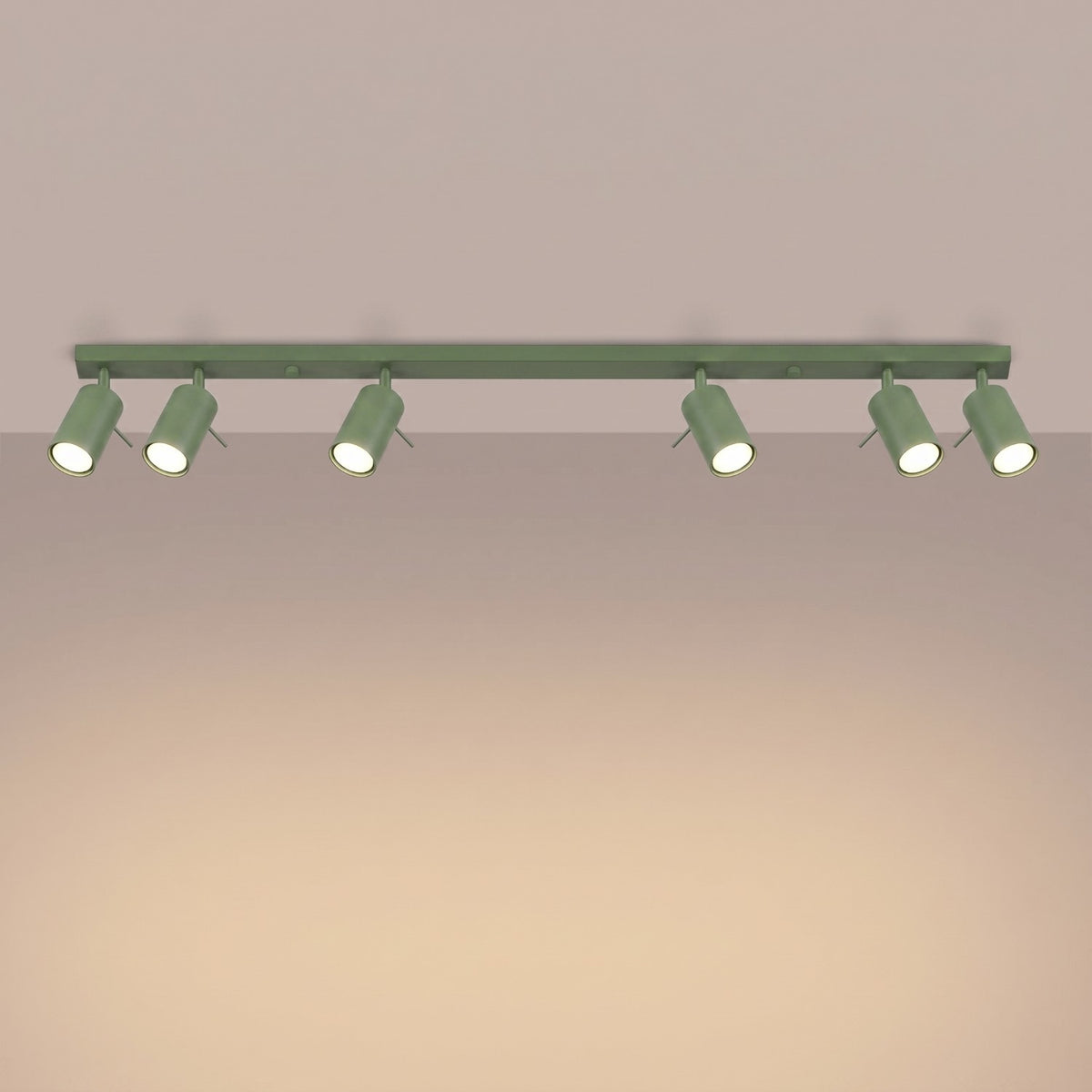 Ceiling lamp RING 6L sage