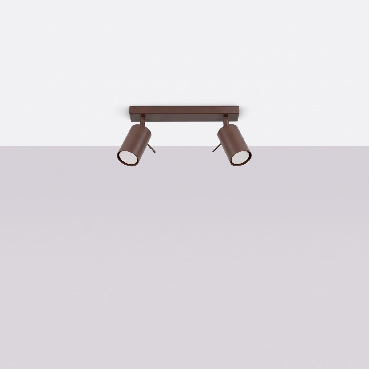 Ceiling lamp RING 2 brown
