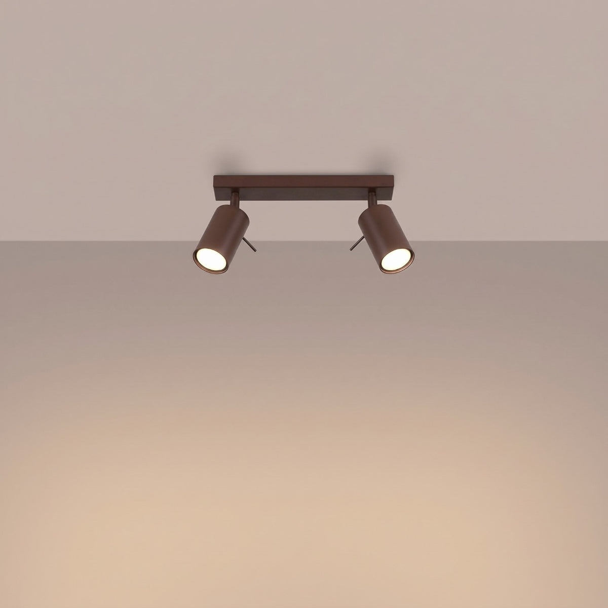 Ceiling lamp RING 2 brown