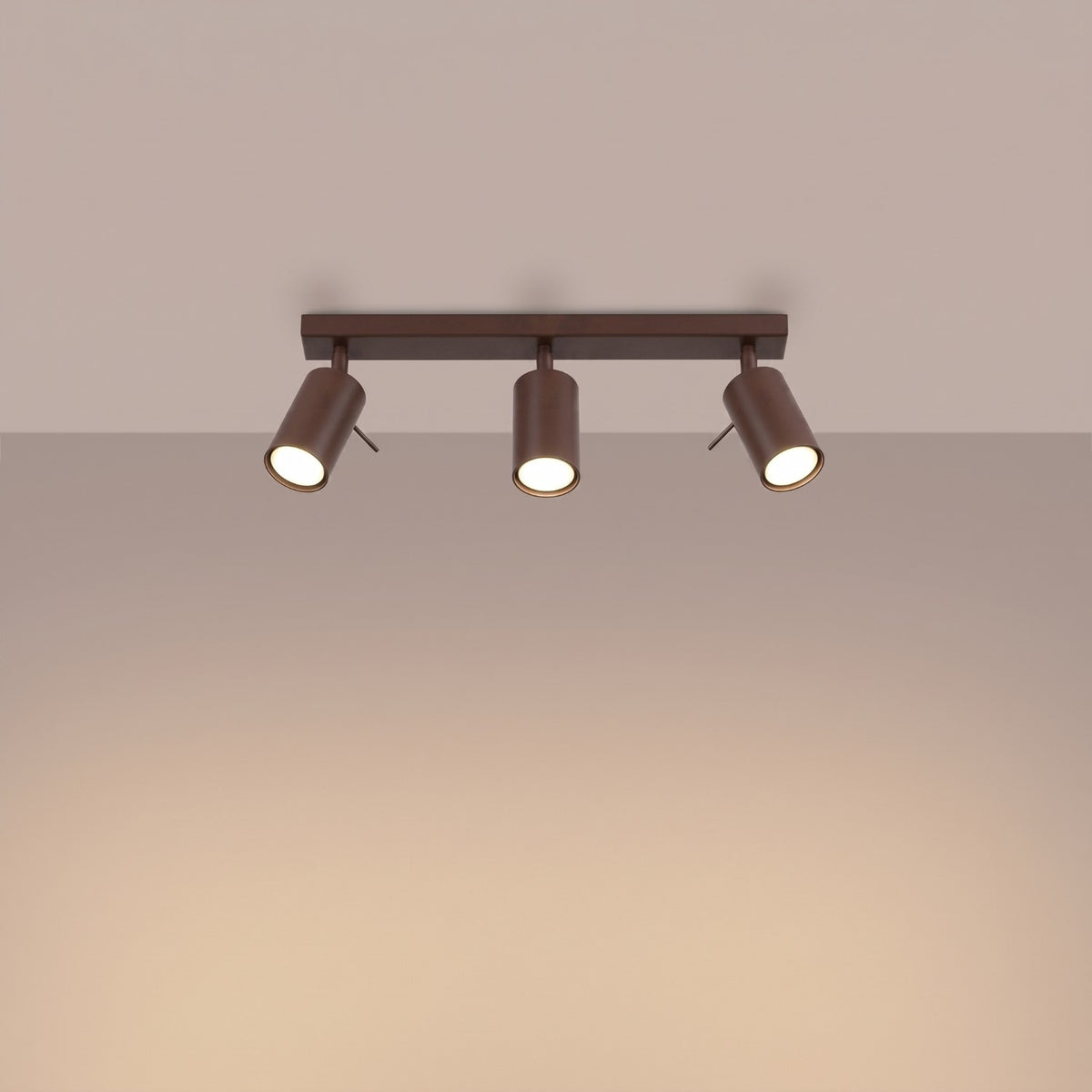 Ceiling lamp RING 3L brown