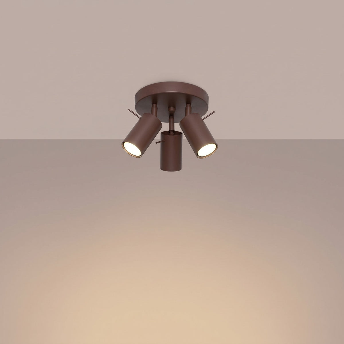 Ceiling lamp RING 3P brown
