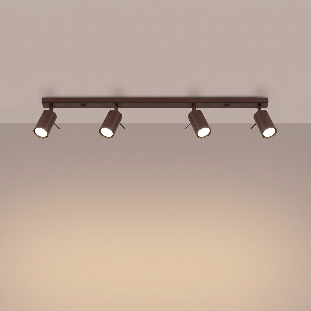 Ceiling lamp RING 4L brown