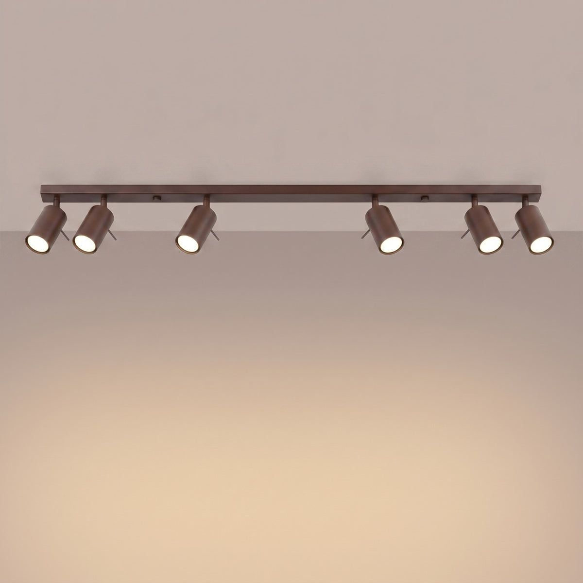 Ceiling lamp RING 6L brown